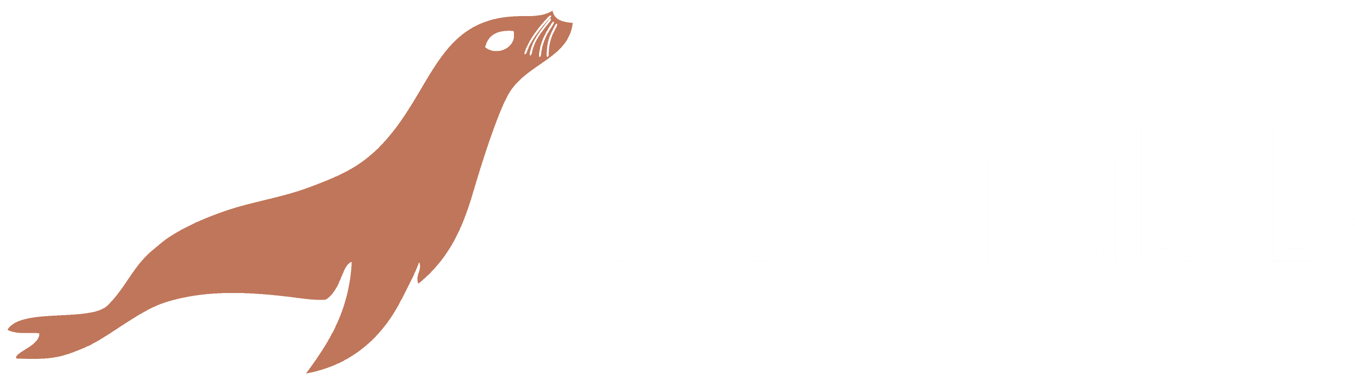 Tech logo