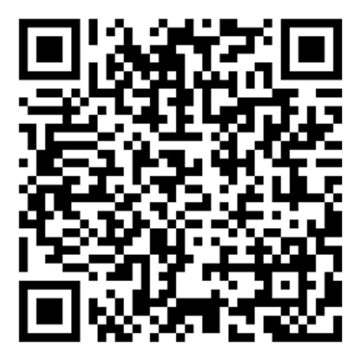 Boarding pass QR
