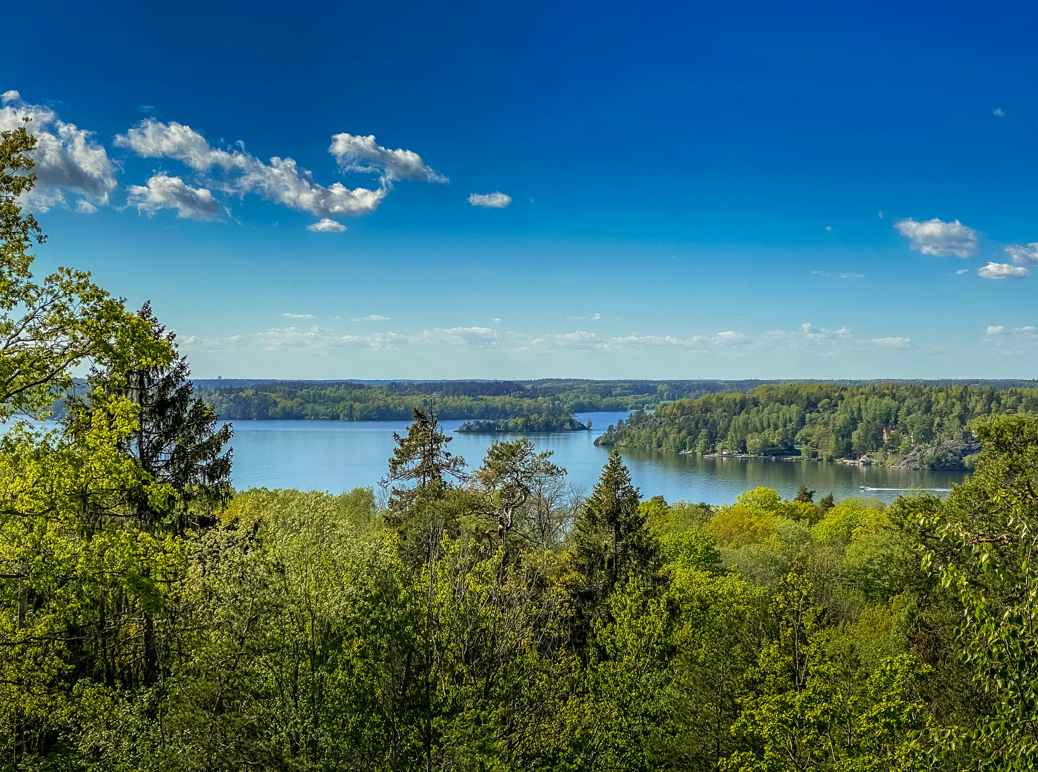 Swedish Landscape Image: A beautiful natural landscape of Sweden with forests, lakes, and mountains, illustrating the scenic beauty where the company operates.