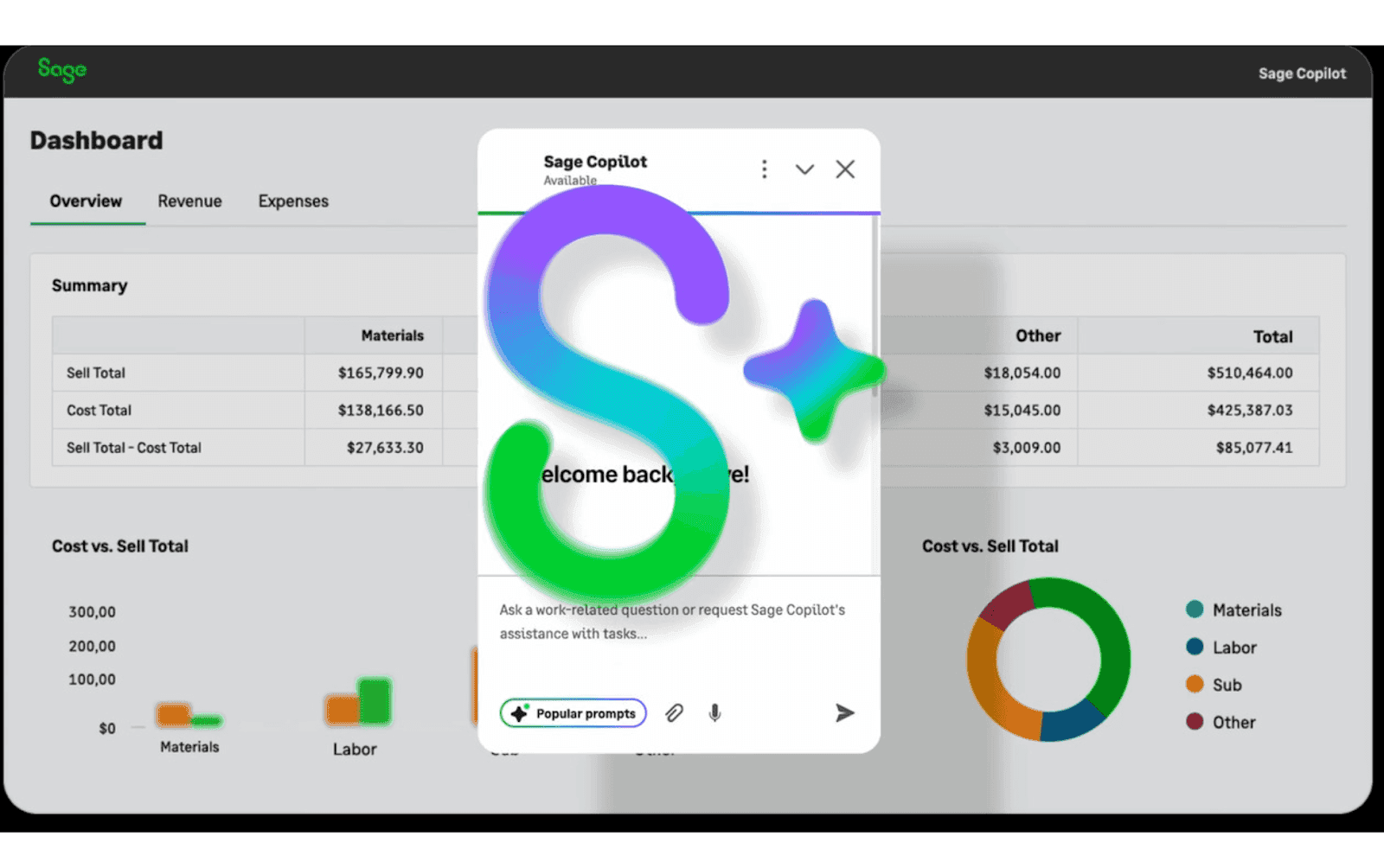 sage working space overview