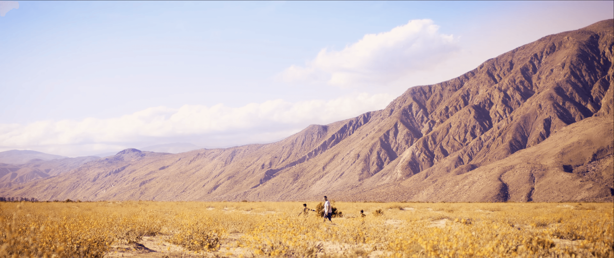 Desert mountain field landscape