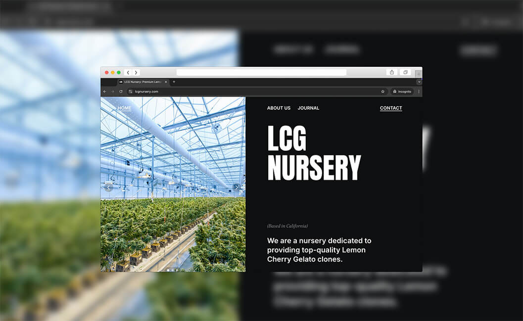 LCG Nursery