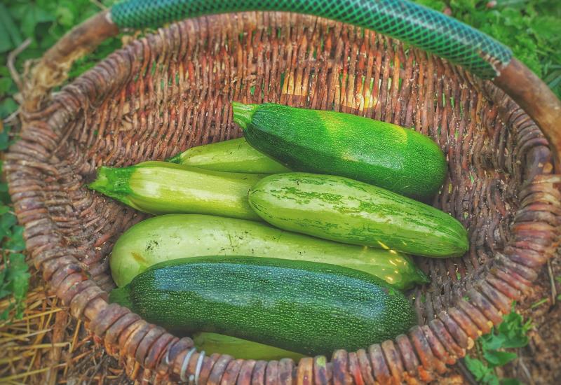 Zucchine