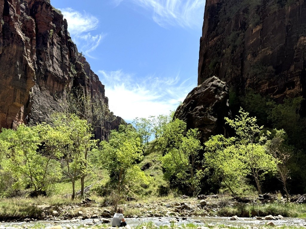 Canyon walls above the river near the start of the Narrows in Zion