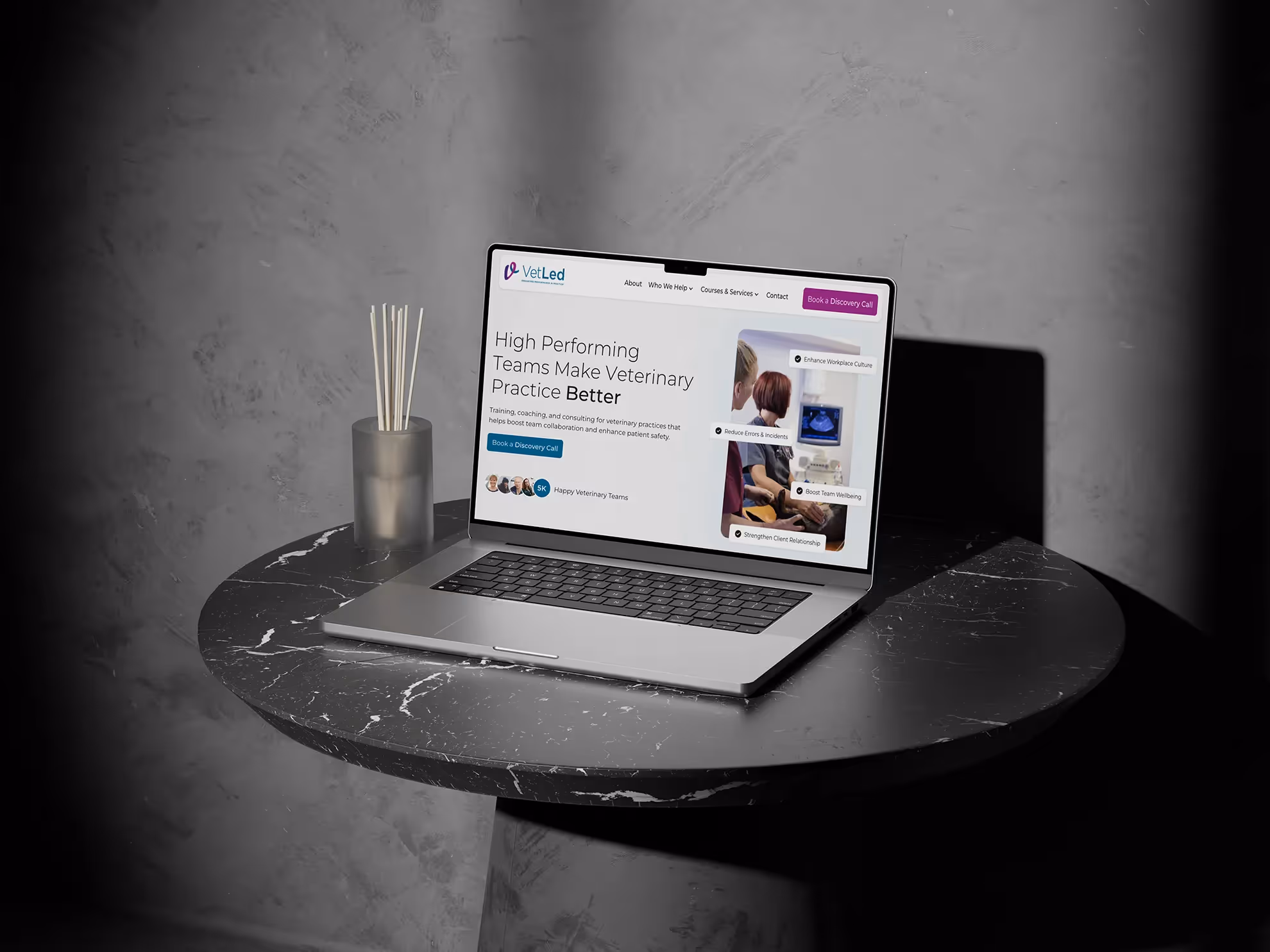 VetLed website displayed on a digital device mockup