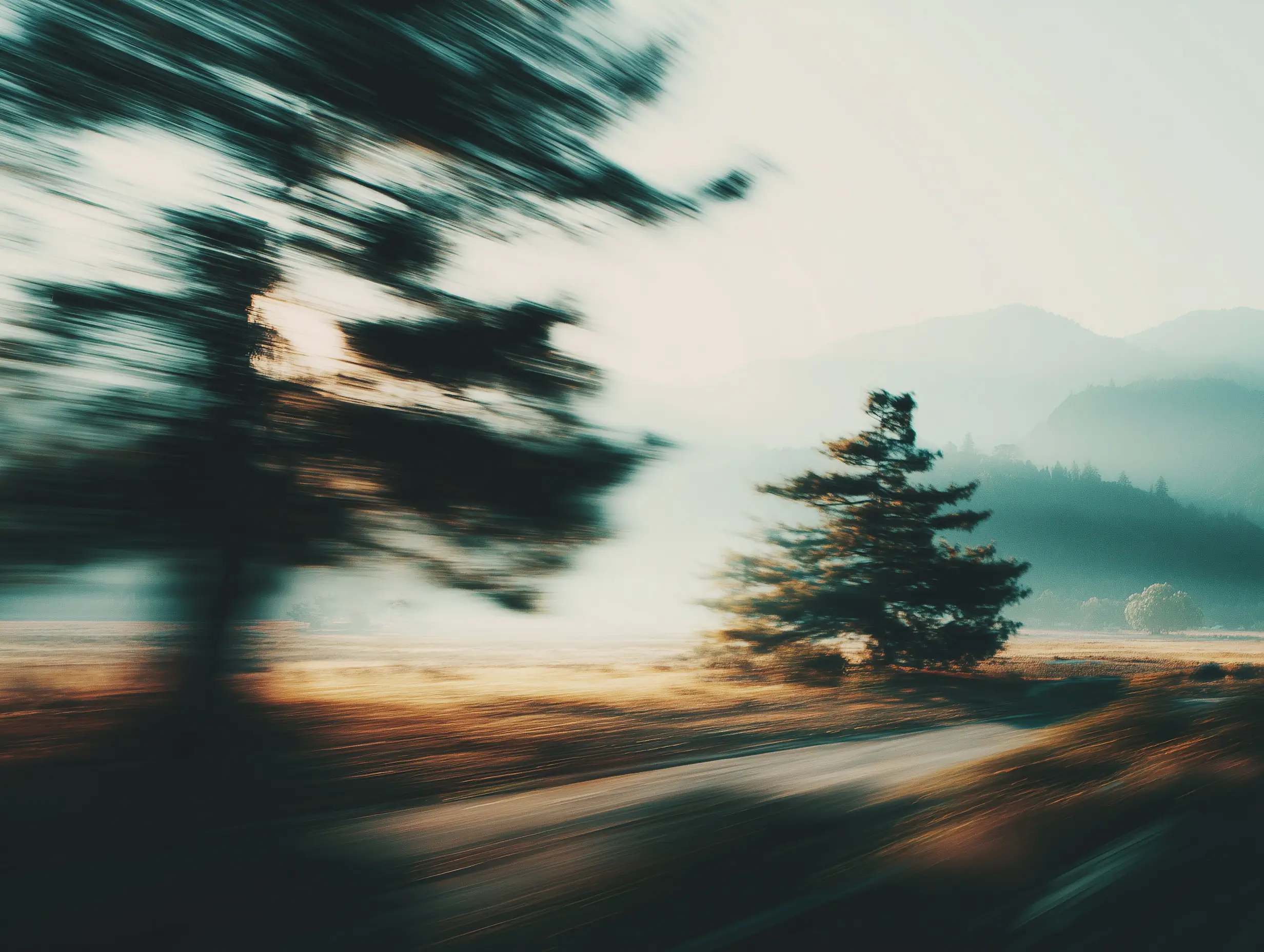Blurry images of a mountain landscape with pine trees passing by