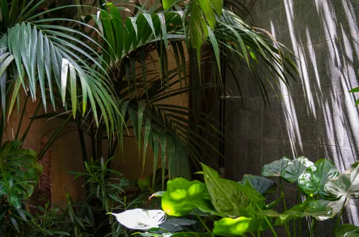 A chef placing fried chicken in a take away box