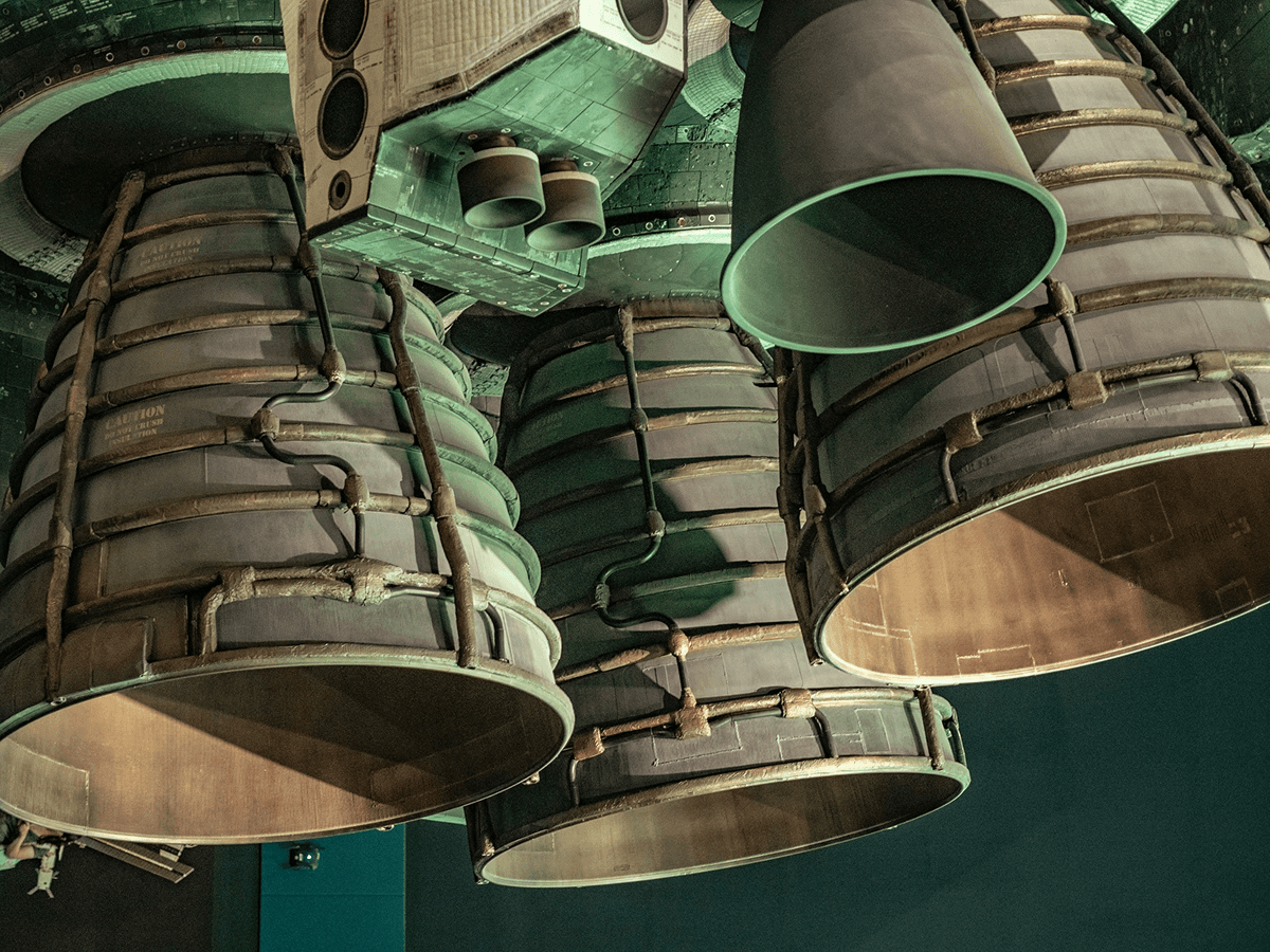 A green butterfly rests on a flower.