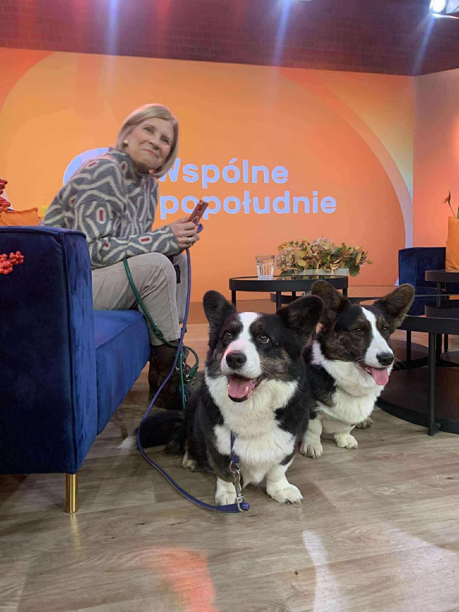 Barista in mask preparing coffee with moka pot