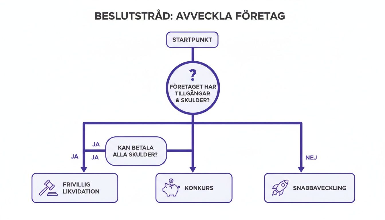 Beslutsträd som visar olika vägar att avveckla ett företag beroende på dess tillgångar och skulder.