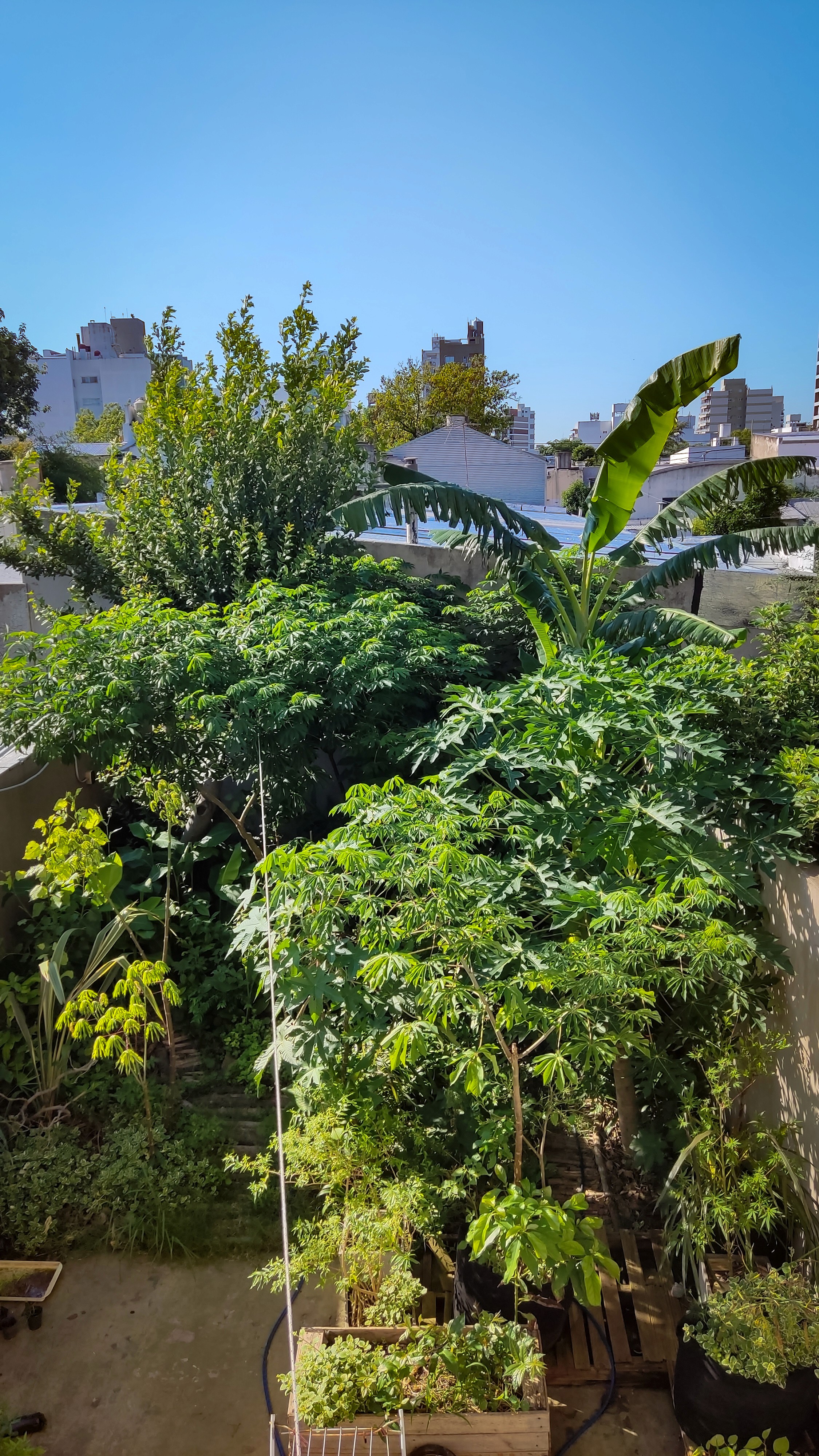 Public garden
