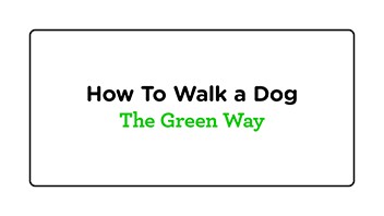 A white rectangle with a black border contains the text "How To Walk a Dog" in black, followed by "The Green Way" in green.