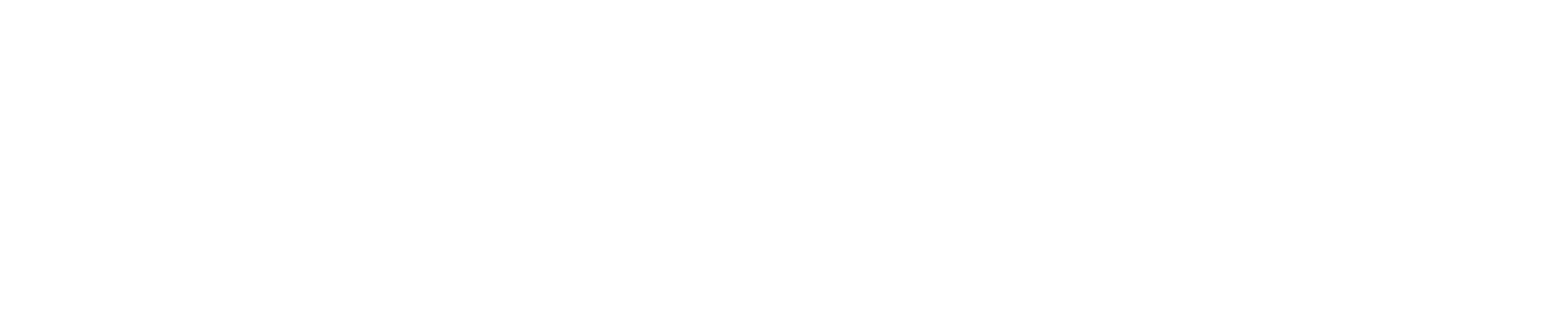 White logo: Influencer/creator marketing, fractional ops & speaker scouting.
