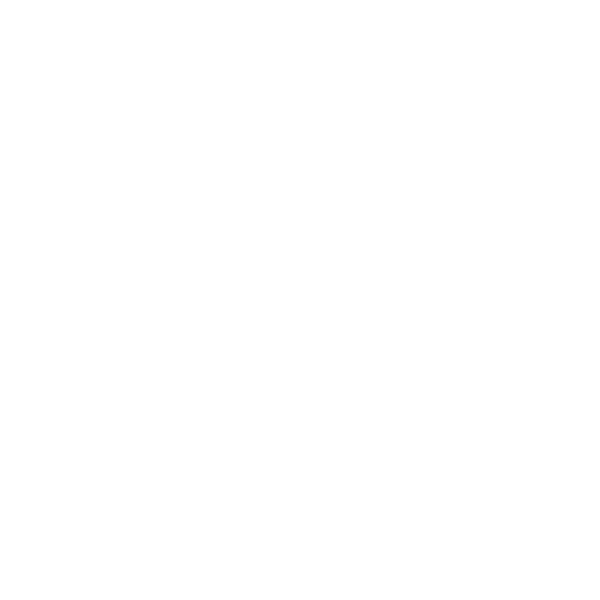 Illustrazione di una fattura