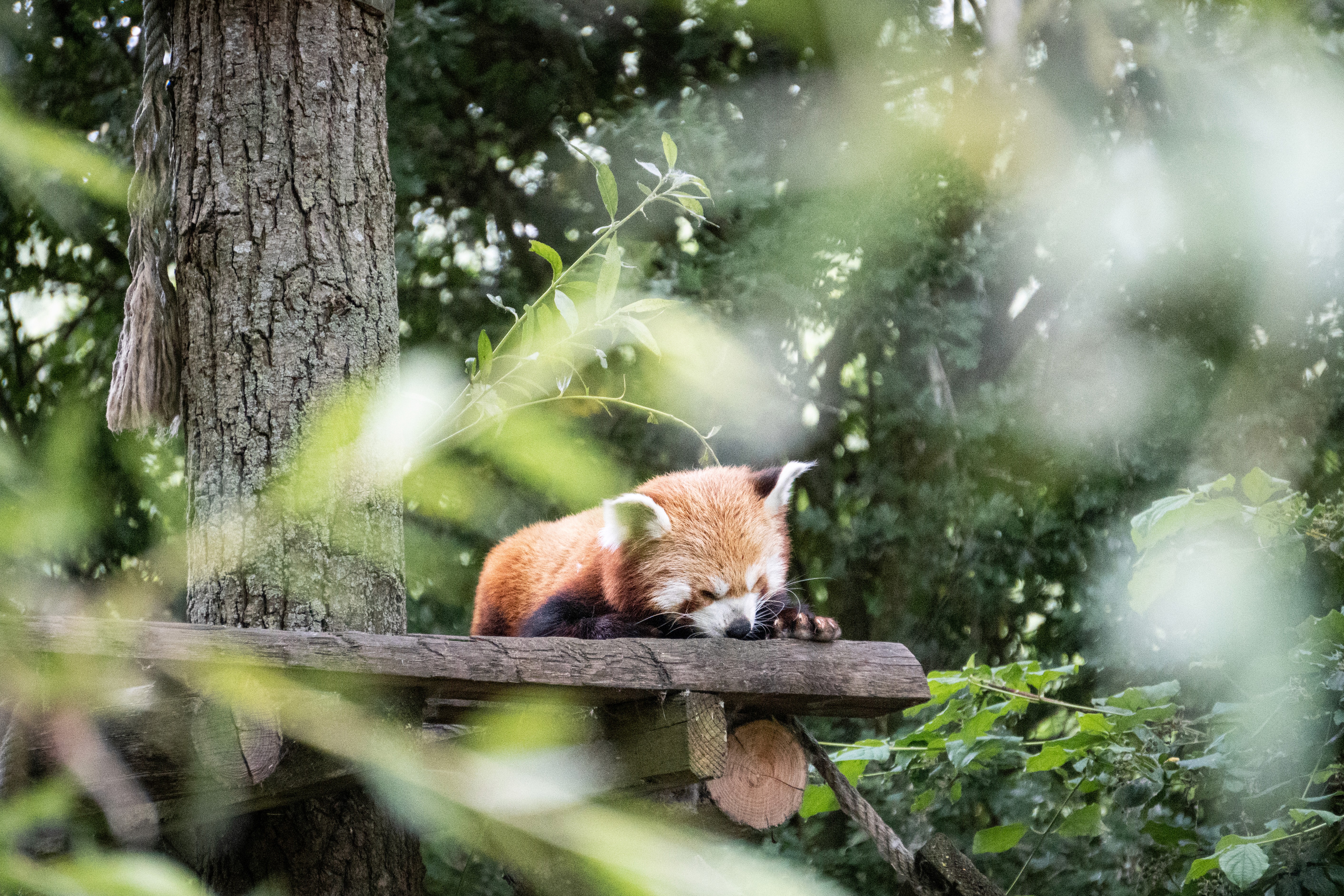 horzon lines Project