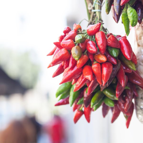 Peperoncino