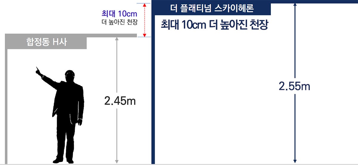 평택역 더플래티넘 스카이헤론 스폐셜7