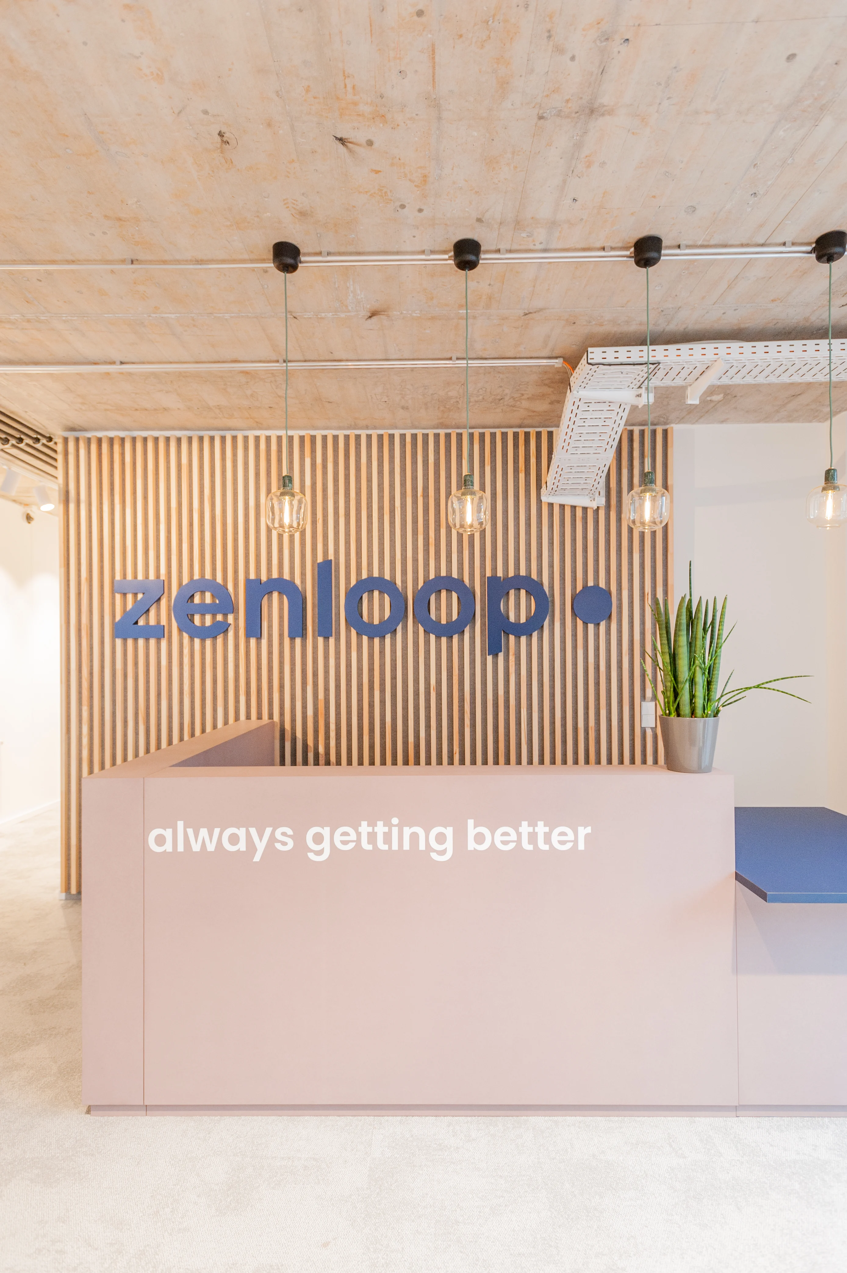 Reception desk at ZENLOOP in dusty pink with the white slogan always getting better, the navy zenloop logo on a wooden slat wall, glass pendant lights and a snake plant.