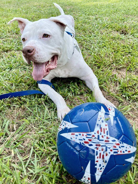 Futuristic neon glowing spatial aesthetic