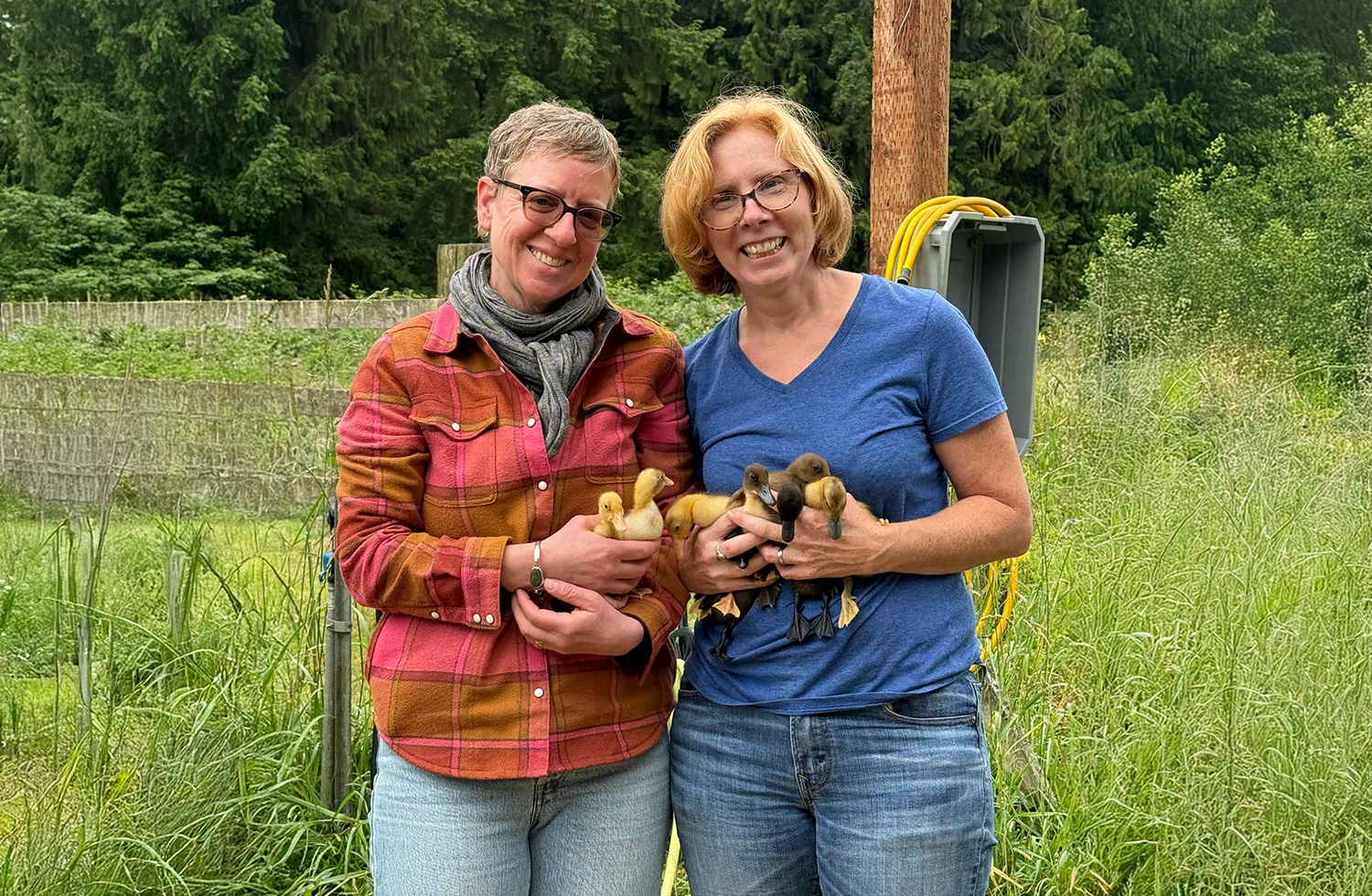 Two residents standing outdoors holding small chickens