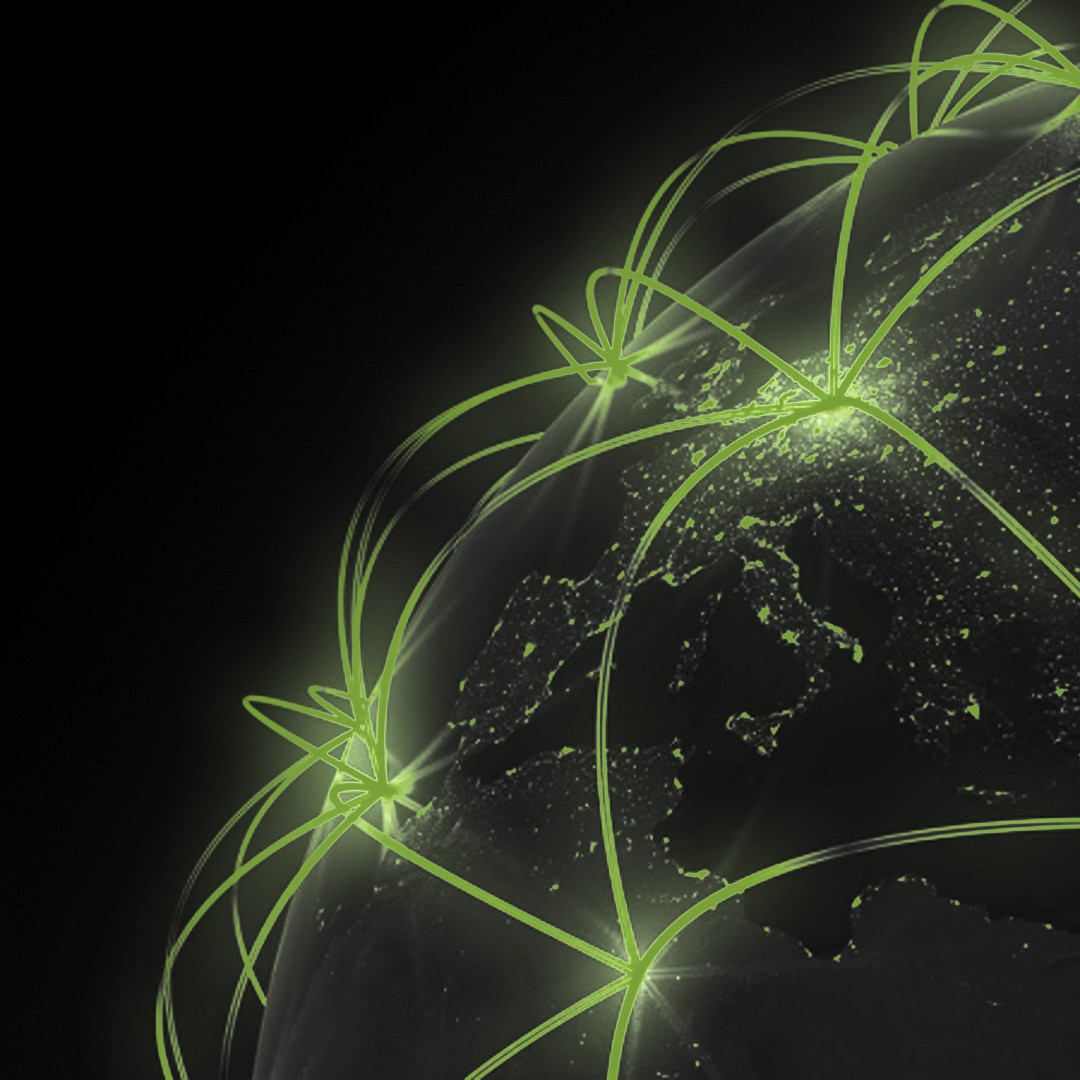 a palm tree in front of a domed building