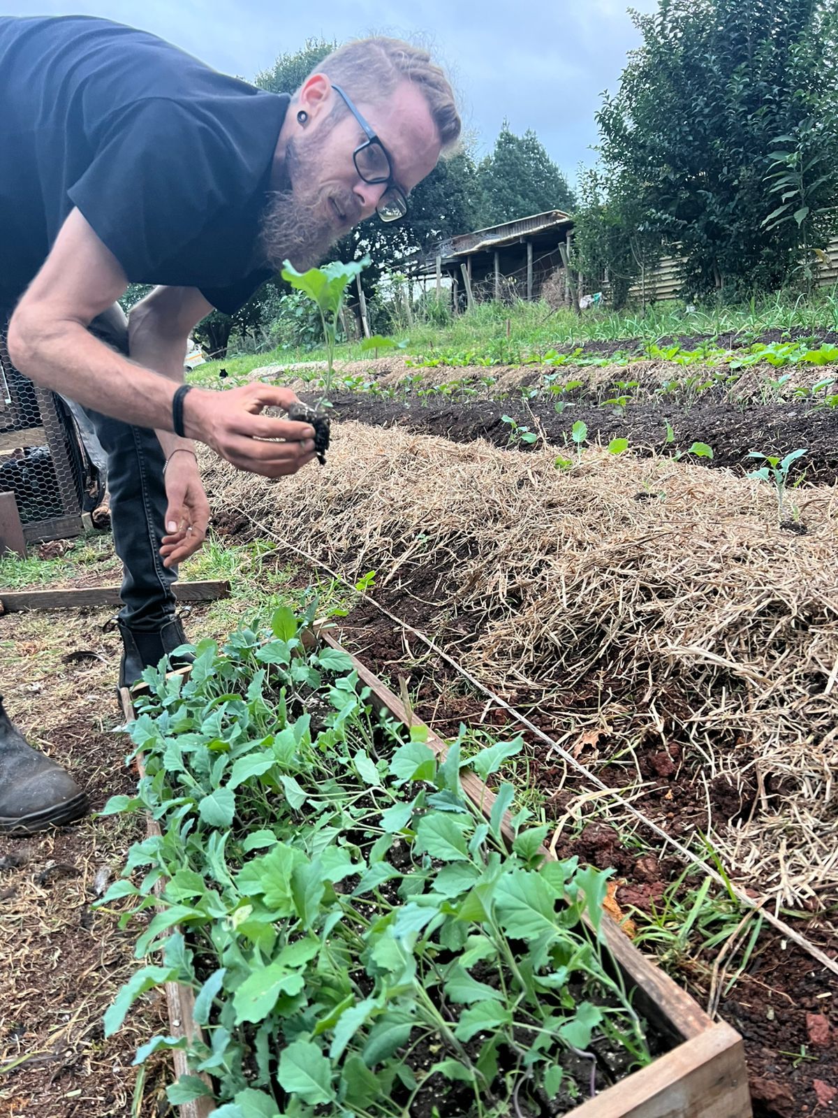Bruce and Kelly from the Regenerative Pear: An update!