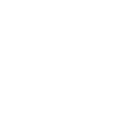 lightbulb icon