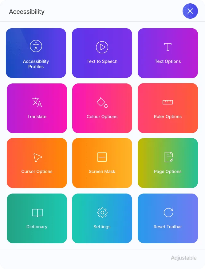 Adjustable's accessibility widget shown with gradient coloured icons