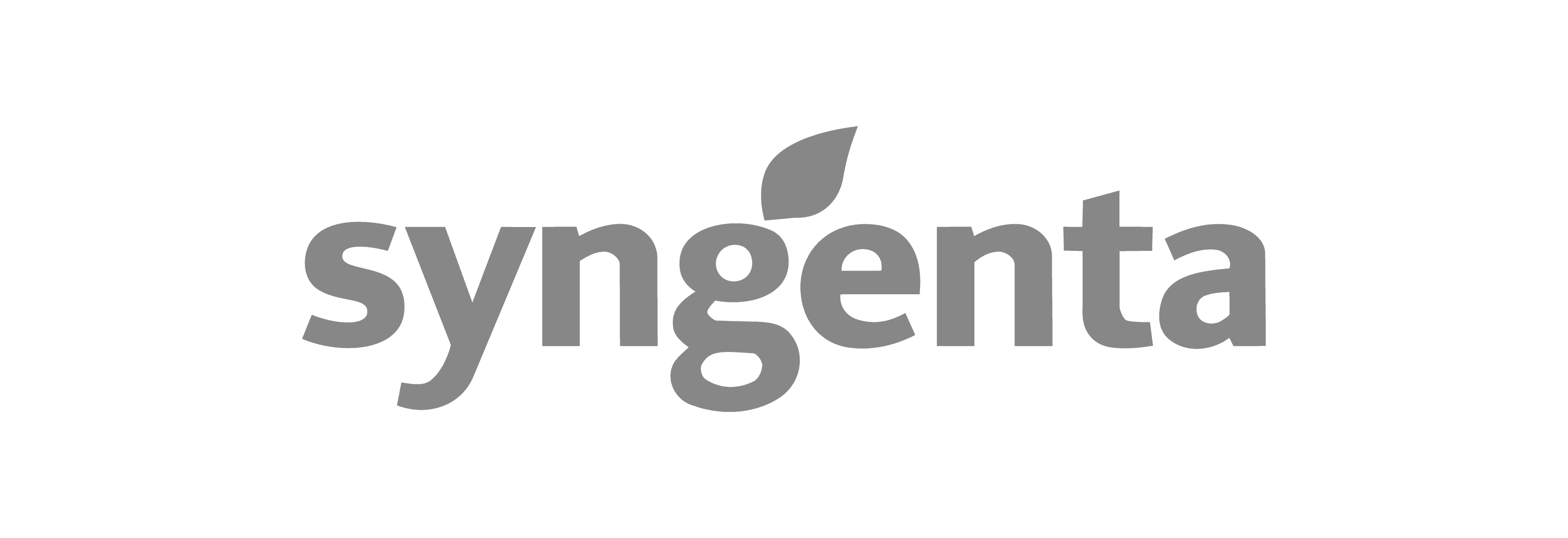 Logo Placeholder