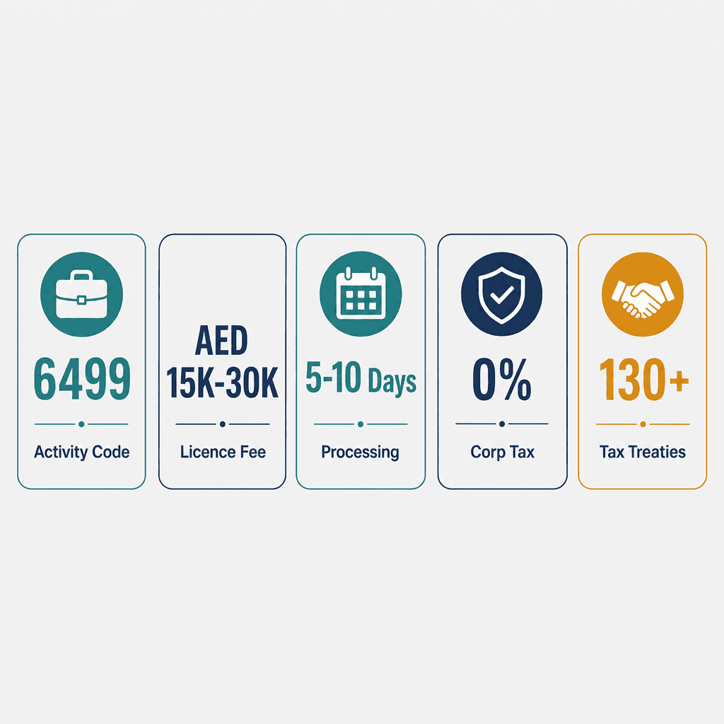 Infographic: Other Financial Services Business License in Dubai