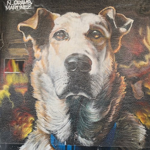 “Loukanikos”狗狗壁画