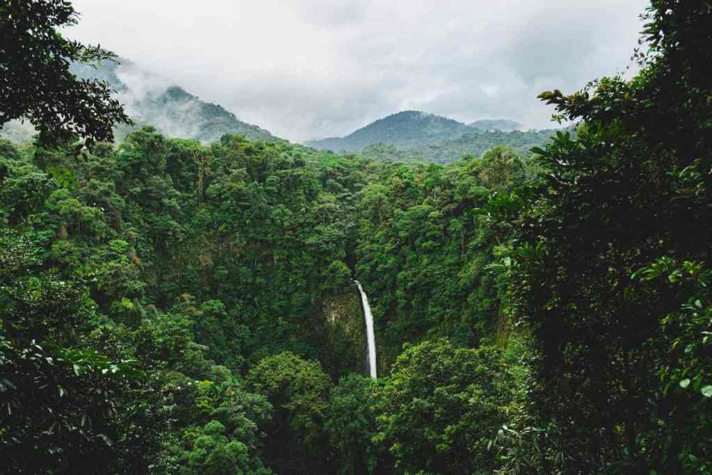 Waterfall in Monteverde, Costa Rica