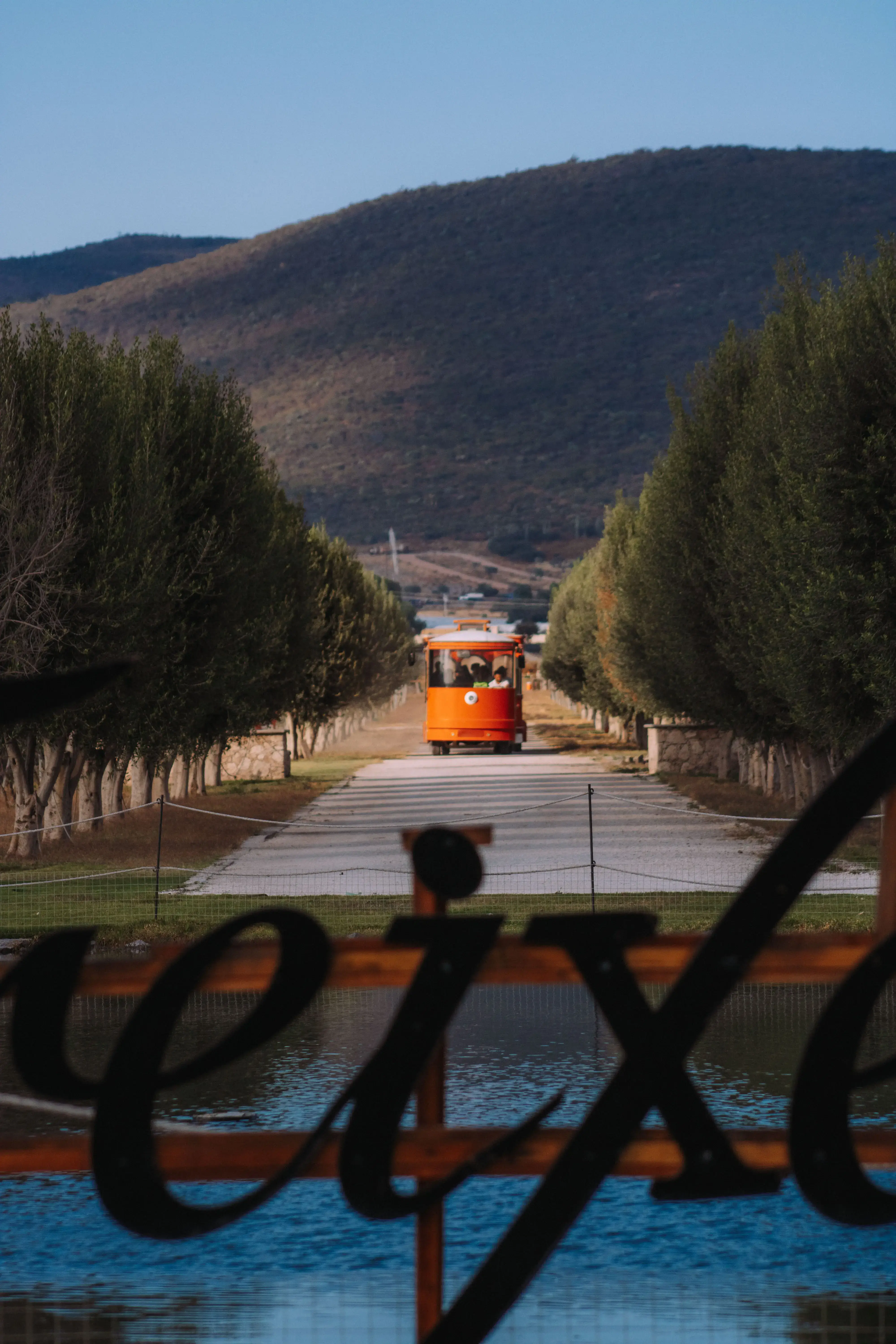 un camion dando un tour por los viñedos de Querétaro