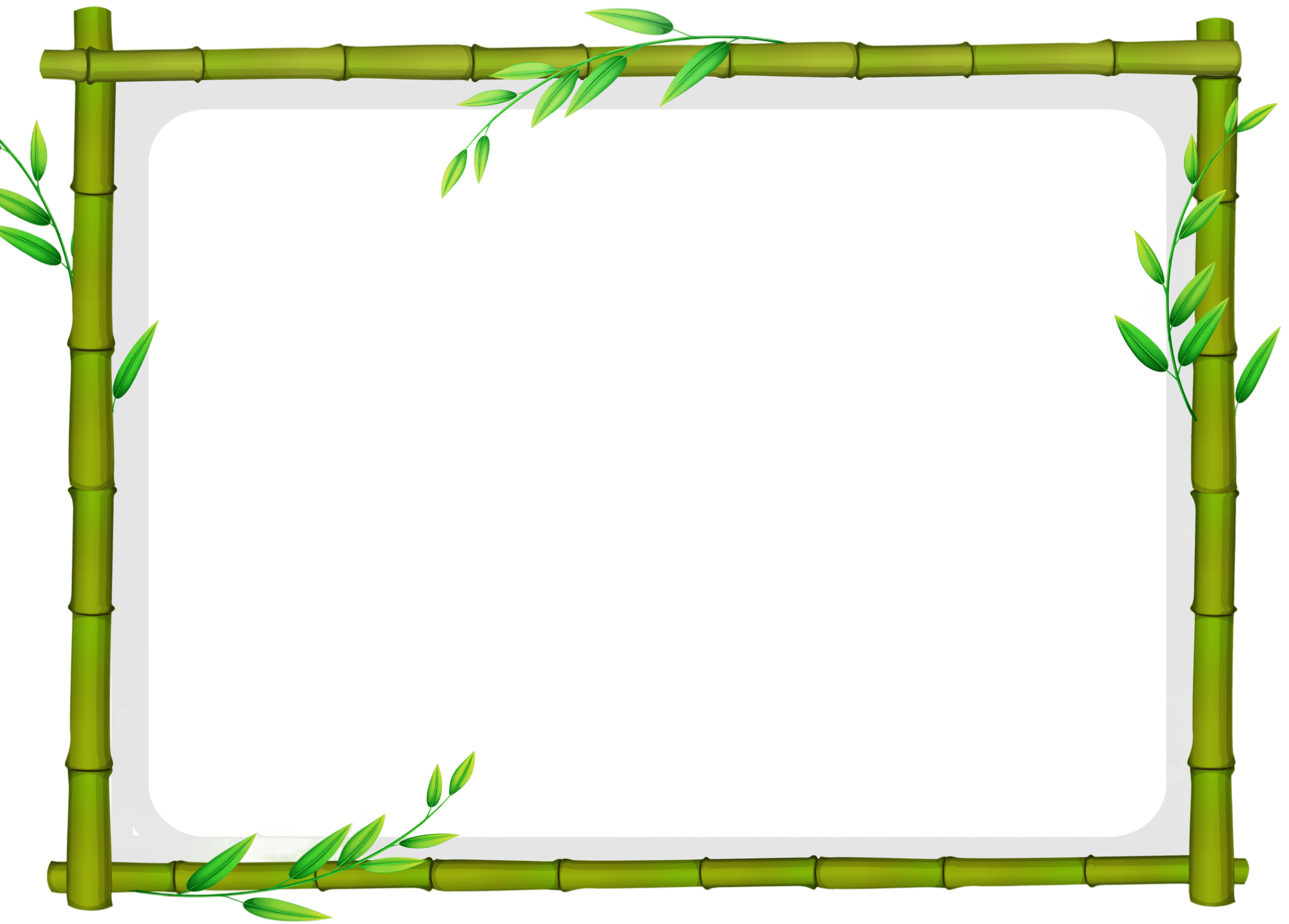 Bamboo frame with green leaves
