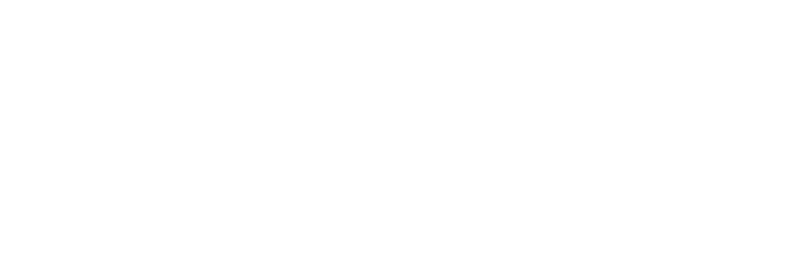 Festi