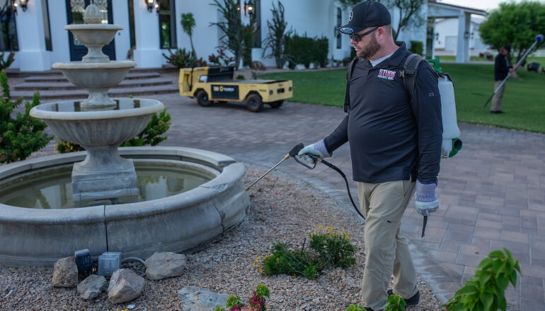 spraying lawn studs against bugs pest control