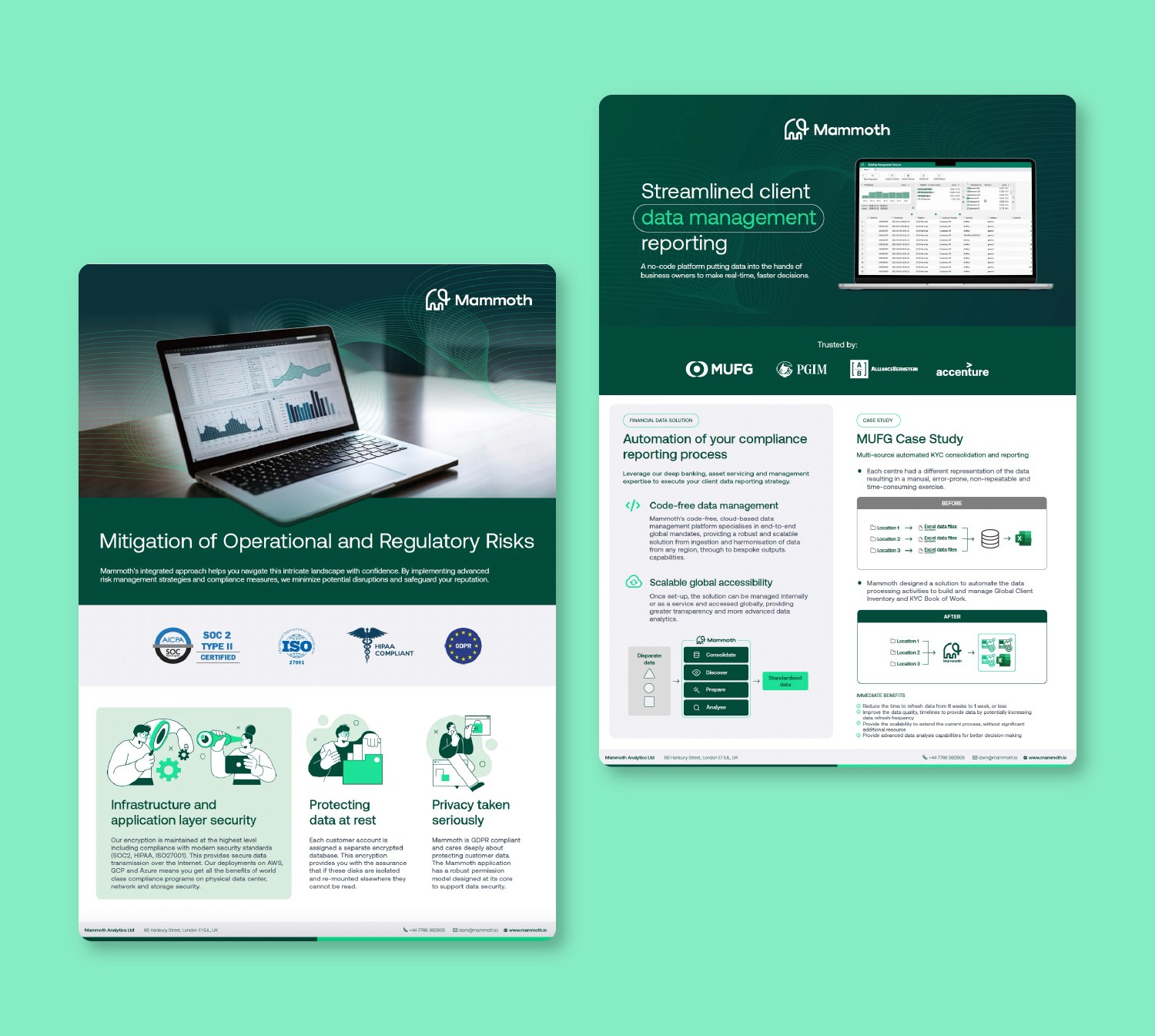 Financial Services two page company overview