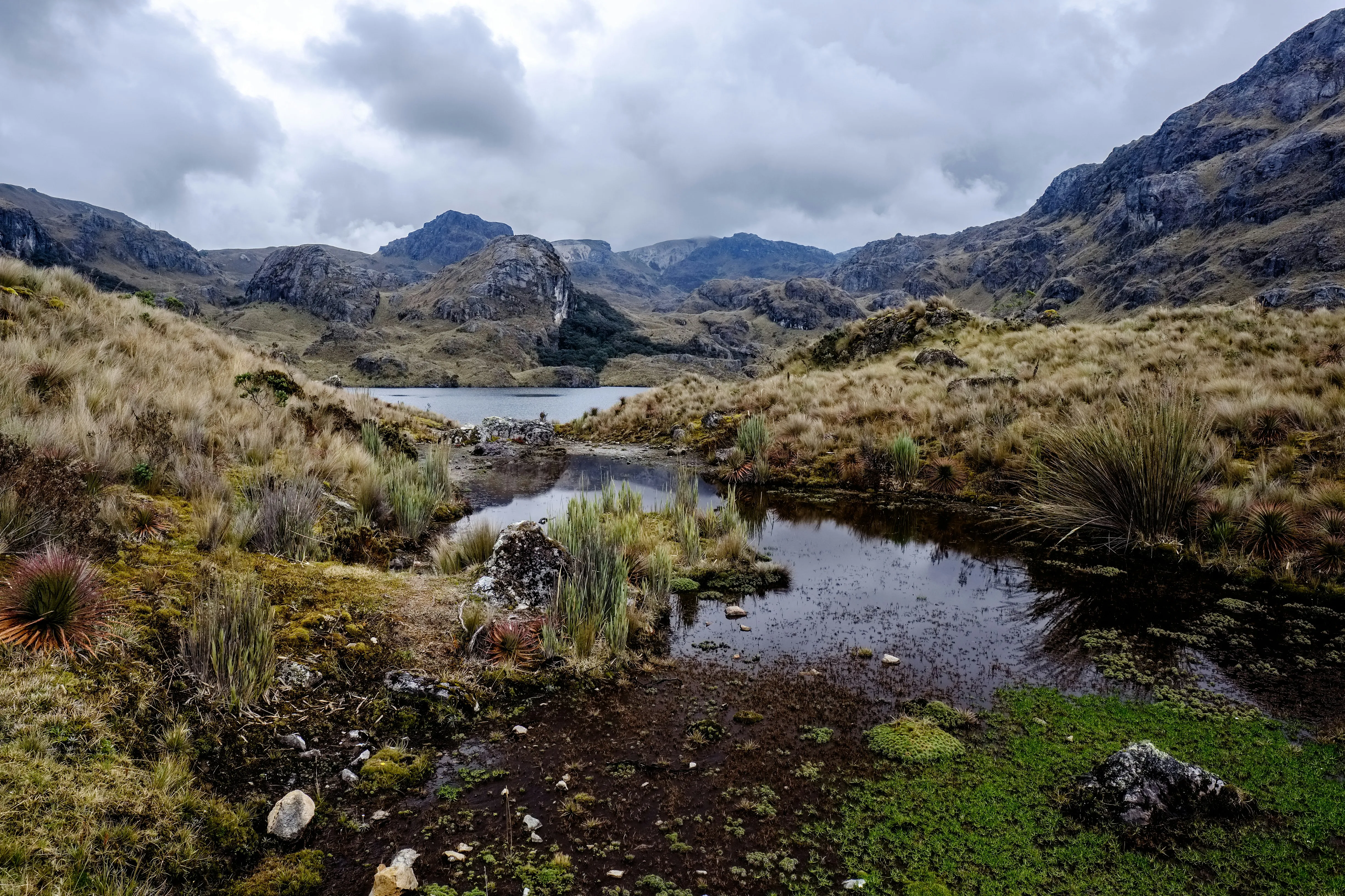Parc national de Cajas