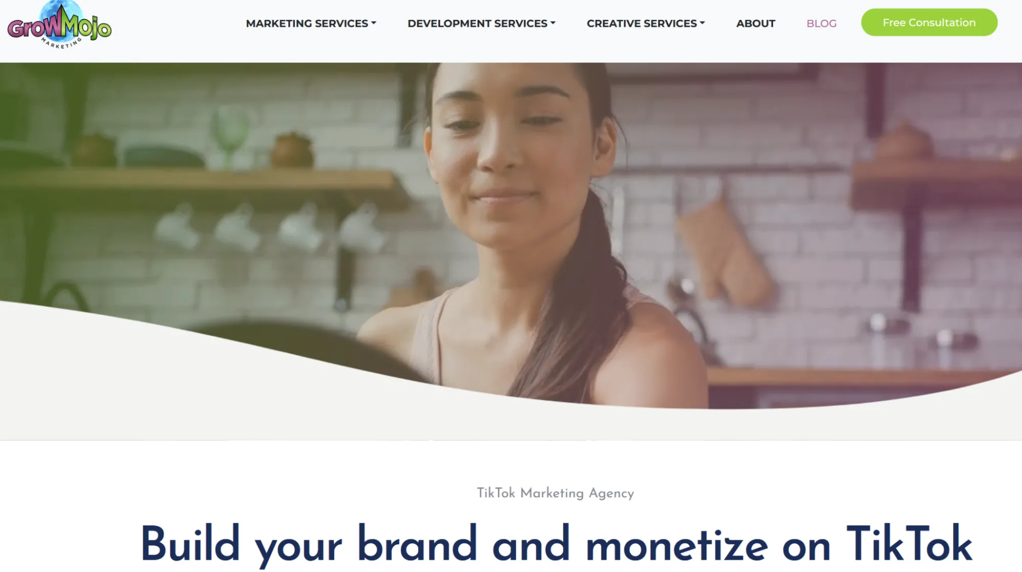 Top TikTok Agency - GrowMojo