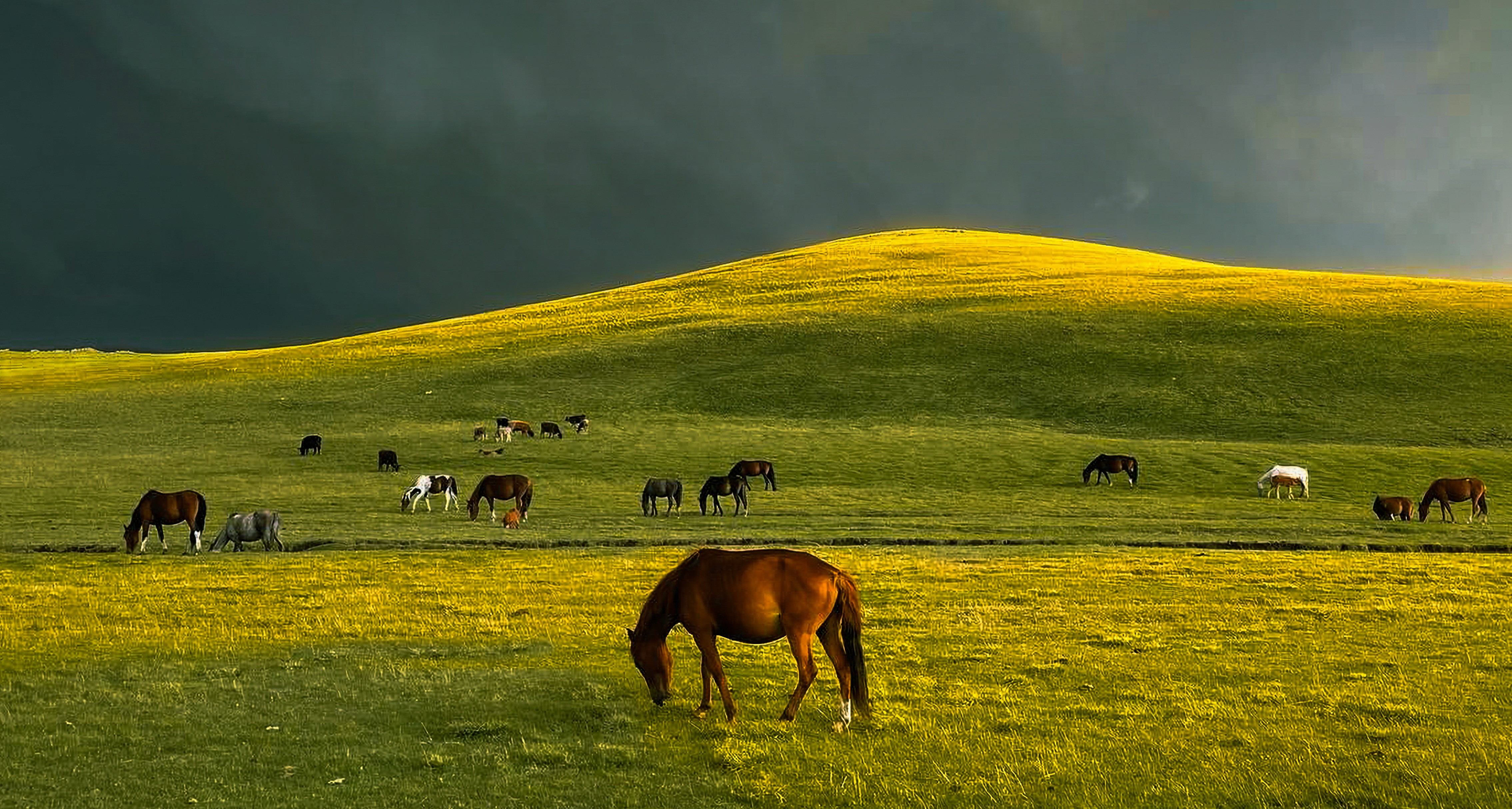 Kyrgyzstan Nature Photo