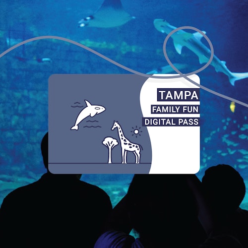 Silhouettes of people looking at an aquarium with a Tampa Family Fun Digital Pass graphic overlay featuring a dolphin and giraffe.