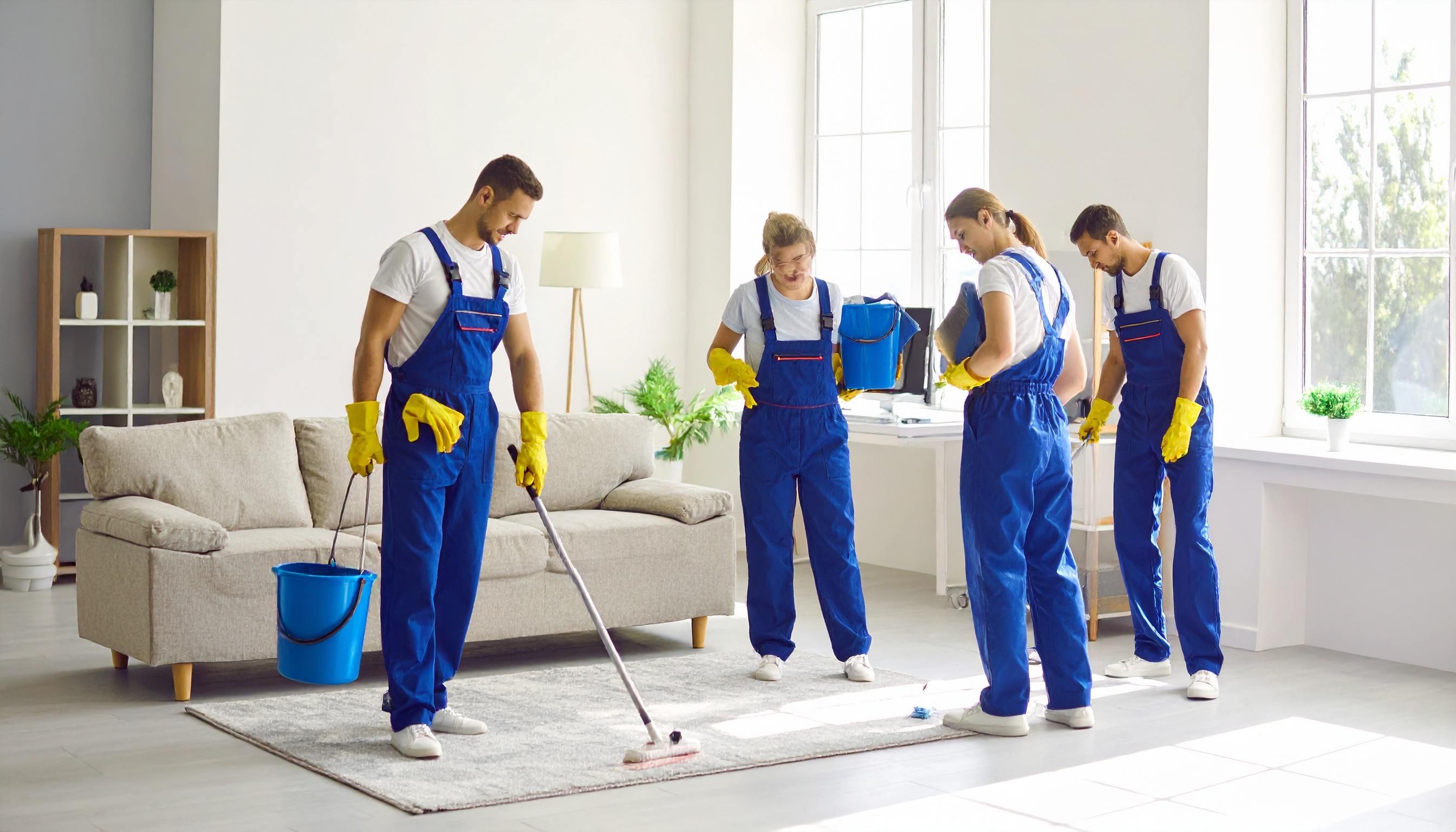 janitor team