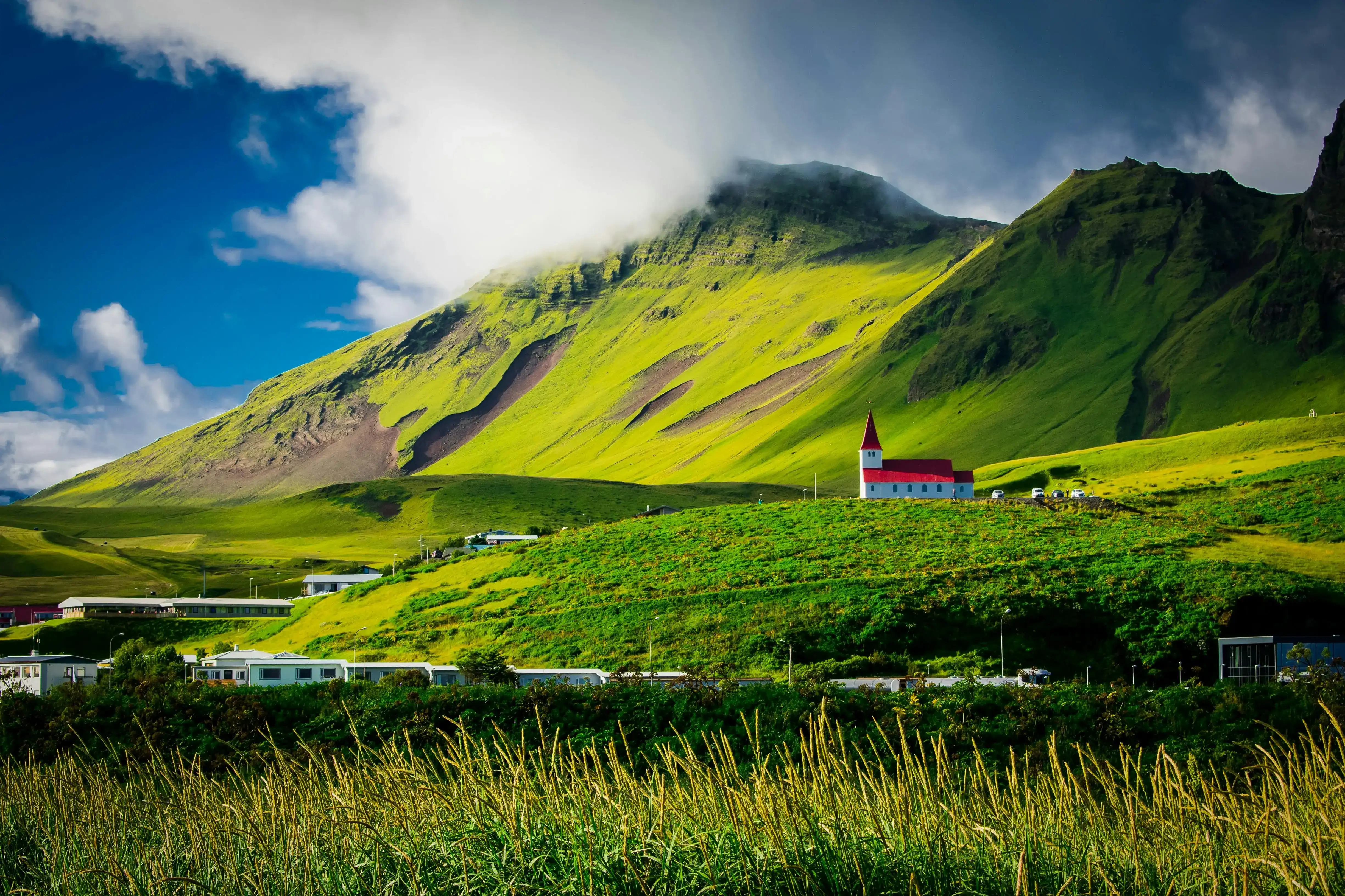 paysage verdoyant en islande