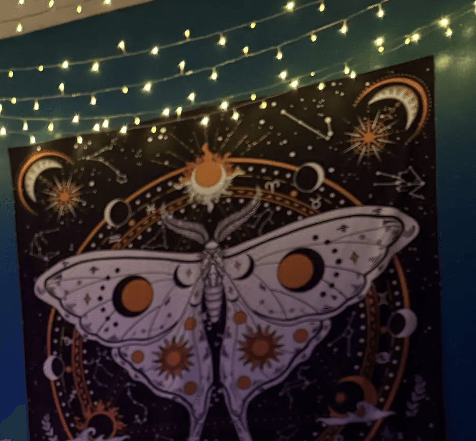 A moth and celestial tapestry in Melissa's studio space