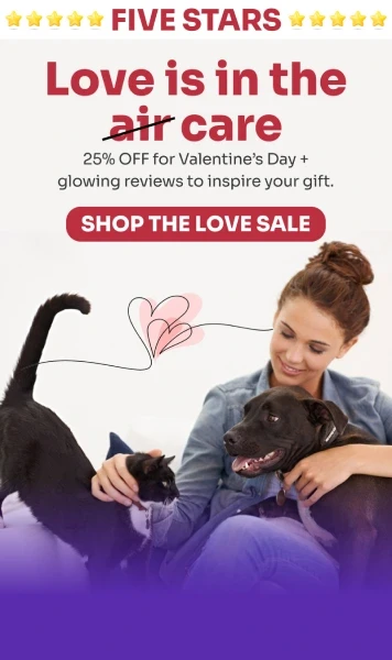 Valentine’s Day email showing a woman with a dog and a cat, promoting 25% off and inspiring gift ideas.
