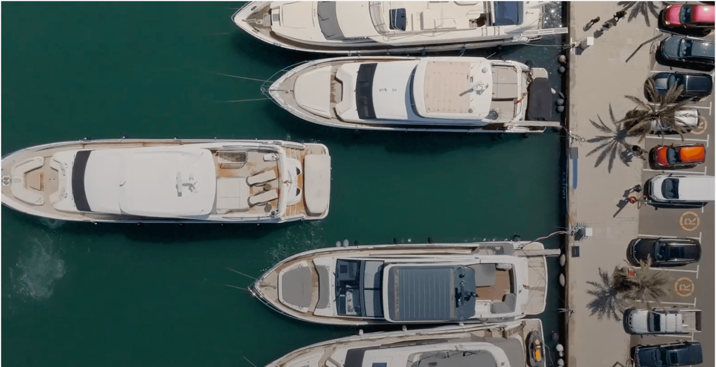 Close-up of a dark green leaf showing its textured surface and central vein against a muted background.