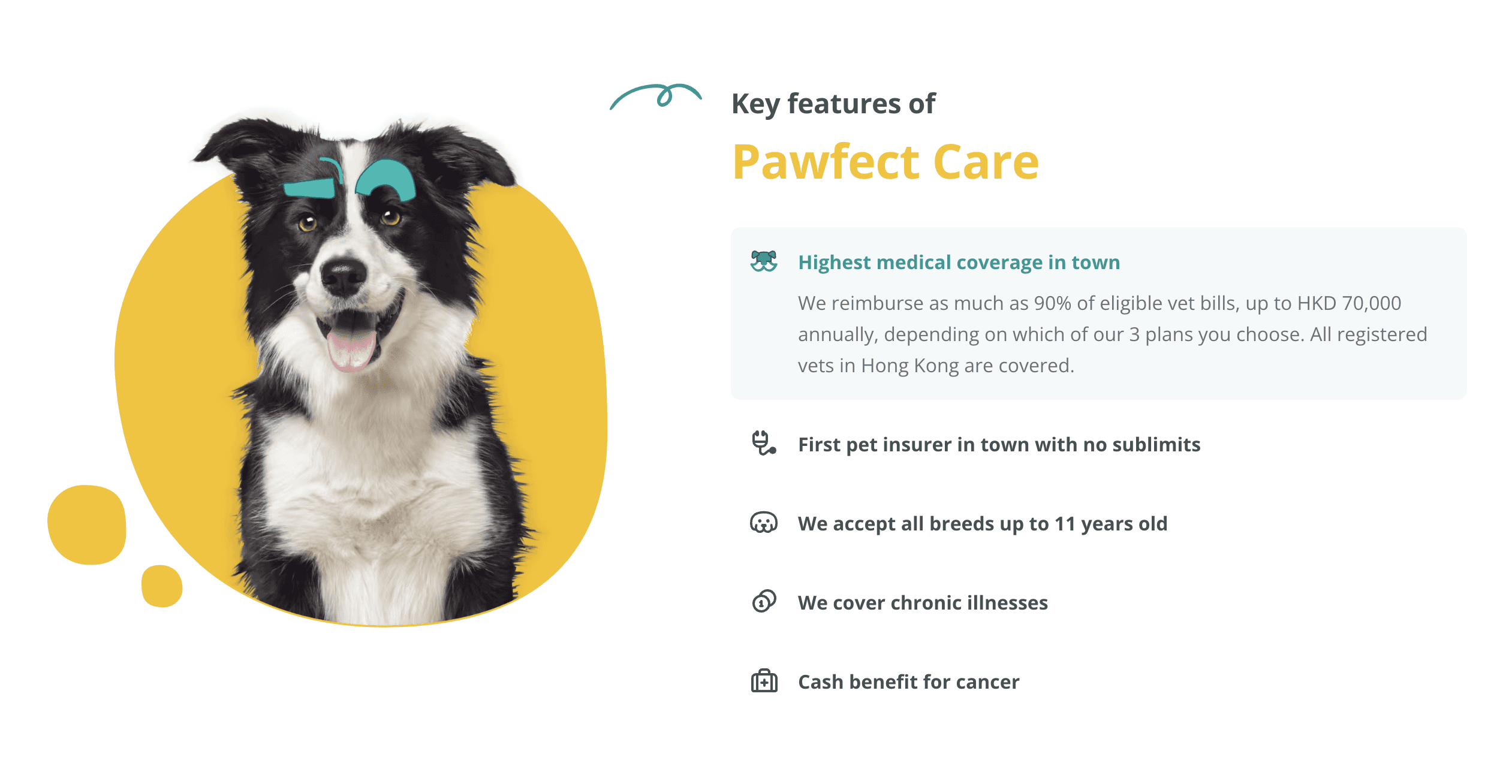 Pawfect Care key features