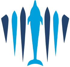 Logo von Pelorus Jack