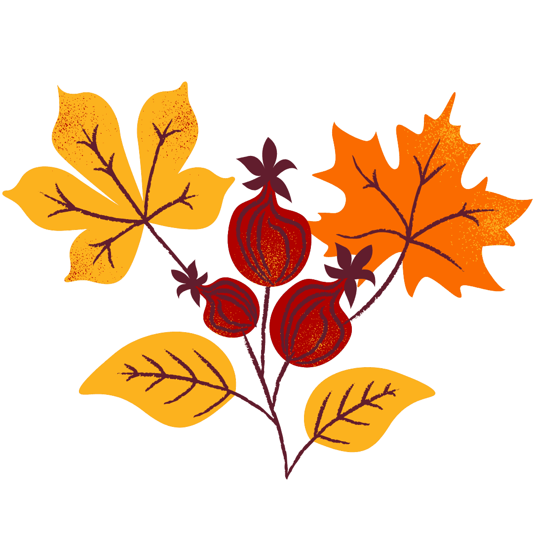 Decorative Graphic