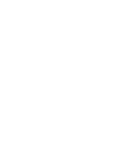 Bruce Leroys Logo